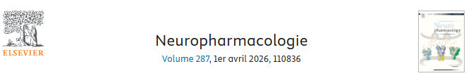Lire la suite à propos de l’article La fréquence d’exposition à l’éthanol de type boulimie régule bidirectionnellement le mGlu-LTD hippocampique via des mécanismes synaptiques, et cet effet est inversé par la minocycline