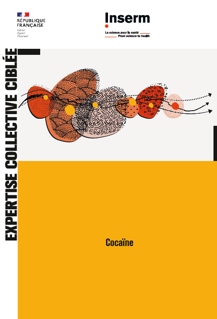 Lire la suite à propos de l’article L&rsquo;expertise collective ciblée : la Cocaïne … vient de paraître