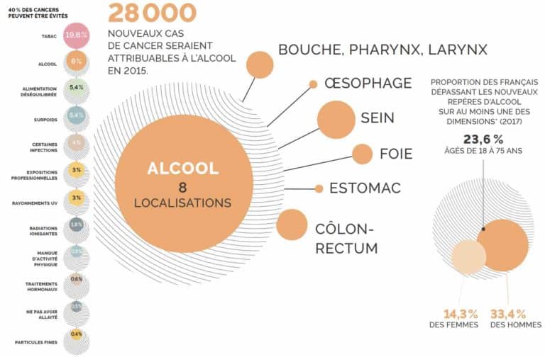 Lire la suite à propos de l’article INCA Alcool et cancers – Panorama des cancers en France, édition 2022